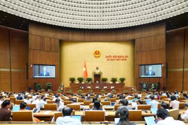 Una sesión de trabajo de la Asamblea Nacional. (Foto: VNA)