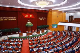El panorama de la reunión. (Foto: VNA)