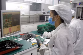 Trabajadores del sector de semiconductores. (Fuente: VNA)