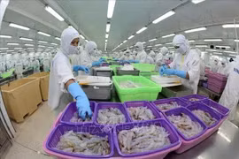 Actualidad semanal: Vietnam, segundo mayor proveedor de productos acuícolas de Brasil