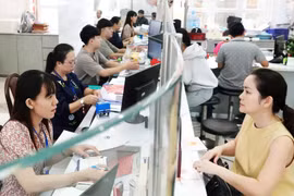 Ciudad Ho Chi Minh probará el funcionamiento de nuevos distritos y comunas a partir del 15 de junio (Fuente: thanhnien.vn)