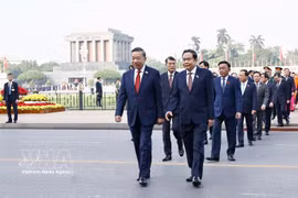 El secretario general del Partido Comunista de Vietnam y presidente del Estado, To Lam, junto con otros dirigentes del Partido y del Estado y diputados de la Asamblea Nacional, depositan ofrendas florales y rinden homenaje al Presidente Ho Chi Minh en su Mausoleo. Foto: Doan Tan – VNA.