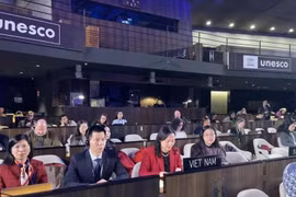 Representantes de Vietnam en la reunión. (Foto: VNA)