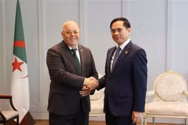 Vicepremier y canciller de Vietnam recibe a ministros de Nicaragua y Argelia