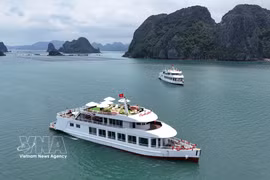 Embarcación turística en la bahía de Bai Tu Long. (Foto: VNA)