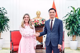 El viceministro vietnamita de Relaciones Exteriores Dang Hoang Giang recibió en Hanoi a Cate Dillon, secretaria adjunta para Asuntos Educativos y Culturales de Estados Unidos. (Foto: baoquocte.vn)