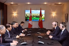 El secretario general del Partido y presidente de Vietnam, To Lam, recibe al profesor Graham Carr, rector de la Universidad Concordia de Canadá. (Foto: VNA)
