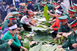 Una actividad en la Aldea de Cultura y Turismo de las Etnias de Vietnam en Hanoi. (Foto: VNA)