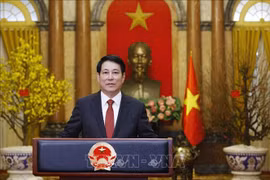 El presidente vietnamita Luong Cuong (Fuente: VNA)