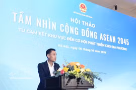 El viceministro de Relaciones Exteriores Dang Hoang Giang habla en el evento. Foto: VNA