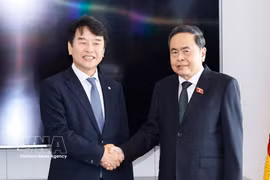 El presidente de la Asamblea Nacional de Vietnam, Tran Thanh Man, (derecha) y el presidente del Grupo Parlamentario de Amistad Corea del Sur-Vietnam, Moon Jin Seok. (Foto: VNA)