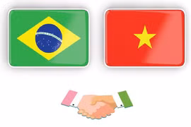 Relaciones de asociación estratégica Vietnam - Brasil