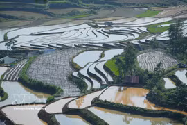 La belleza de los arrozales en terrazas en la provincia vietnamita de Lai Chau