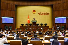 Durante una reunión en el primer período de sesiones de la Asamblea Nacional de la XVI Legislatura. (Foto: VNA)