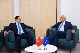 El primer ministro de Vietnam, Pham Minh Chinh, mantiene una sesión de trabajo con el presidente del Consejo Europeo, Antonio Costa. (Foto: VNA)