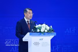 El primer ministro Le Minh Hung habla en el foro. Foto: VNA