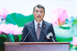 El primer ministro de Vietnam, Le Minh Hung, habla en la cita. (Foto: VNA)