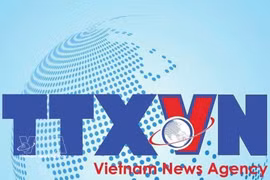 Ciudad de Da Nang intensifica la búsqueda y el rescate de pesquero desaparecido