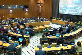 Panorama de la tercera reunión de los Estados Partes en el Tratado sobre la Prohibición de las Armas Nucleares (Foto: VNA)