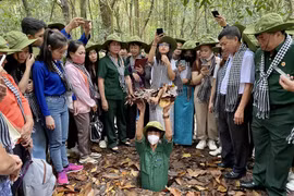 Vietnam promueve el valor de los recorridos turísticos históricos