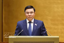 El ministro de Industria y Comercio, Le Manh Hung, habla en el debate. Foto: VNA