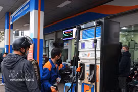 Empresas vietnamitas impulsan la venta de E10 RON95. Foto: VNA