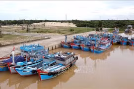 Barcos pesqueros instalados con equipos de monitoreo de viaje en la provincia central de Quang Binh. (Foto: VNA)