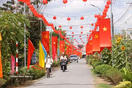 Una carretera rural en la comuna de Tra Con, provincia de Vinh Long, engalanada con banderas y flores, refleja el ambiente festivo y de expectación ante la próxima jornada electoral. (Foto: VNA)