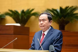 El presidente de la Asamblea Nacional de Vietnam, Tran Thanh Man, habla en la reunión. (Foto: VNA)