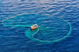 Vietnam amplía esfuerzos para avanzar hacia una pesca responsable