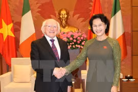 Presidenta parlamentaria pide a Irlanda mantener AOD a Vietnam