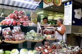 Promueven frutas vietnamitas en República Checa