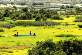 Parque Nacional U Minh Thuong, uno de los dos mil 228 sitios Ramsar del mundo