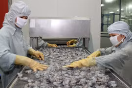 Exportaciones vietnamitas alcanzan 144 mil millones USD en primeros 10 meses del año
