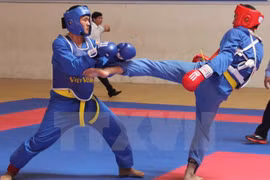 Arte marcial vietnamita Vovinam ausente en SEA Games 29
