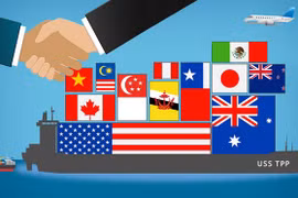 Adhesión al TPP beneficiará a la agricultura vietnamita