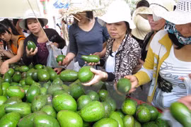 Seminario aborda maneras de construir marcas comerciales para productos agrícolas vi