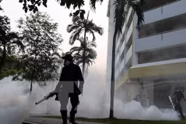 Singapur confirma 16 embarazadas infectadas por Zika