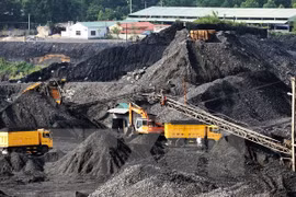 Reestructura Grupo industrial de Carbón y Minerales de Vietnam