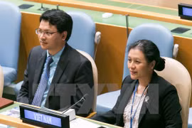 Vietnam reitera papel de ASEAN en mantenimiento de seguridad regional