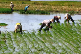 Séptimo Congreso Asiático de Agricultores