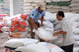 Vietnam ingresa 21 mil millones de USD por exportaciones agrosilvícolas y acuícolas