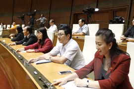 Parlamento aprueba Resolución sobre desarrollo socioeconómico en 2017