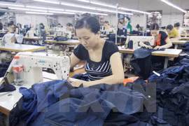 Vietnam y UE se afanan en poner en vigor tratado comercial bilateral en 2018