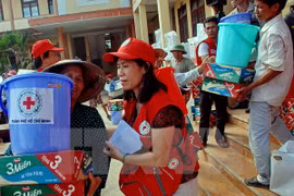 Vietnamitas en extranjero apoyan a connacionales afectados por inundaciones