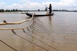 Debaten en Vietnam medidas para uso efectivo de recursos hídricos del río Mekong