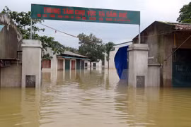 Respaldan vietnamitas en extranjero a compatriotas afectados por inundaciones