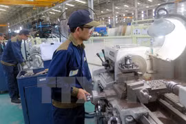 Vietnam y países nórdicos observan vínculos comerciales