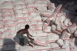 Exministro tailandés enfrenta demanda sobre programa de subsidio al arroz