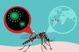 Mujer infectada de Zika en Japón no es vietnamita